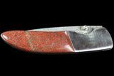 Pocketknife With Fossil Dinosaur Bone (Gembone) Inlays #86540-1